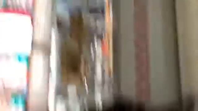 Малолетки обнюхались,"Даги" прикололись; смотреть онлайн