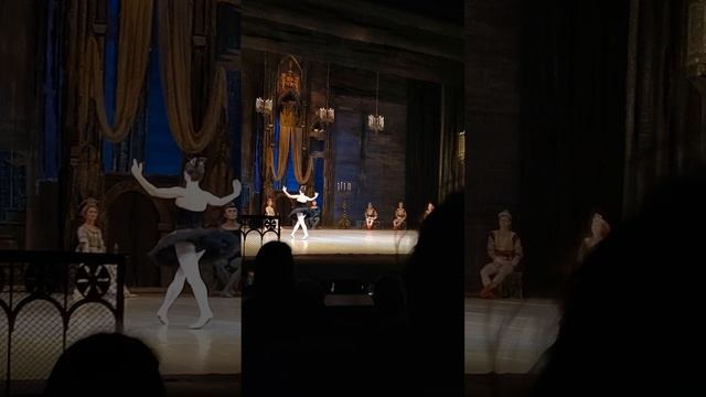 Фрагмент из балета П.И.Чайковского 