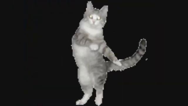 Ну что, стацуем и спляшем