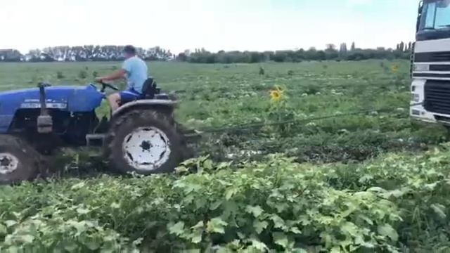 д/ф 404 тянет фуру смотреть онлайн