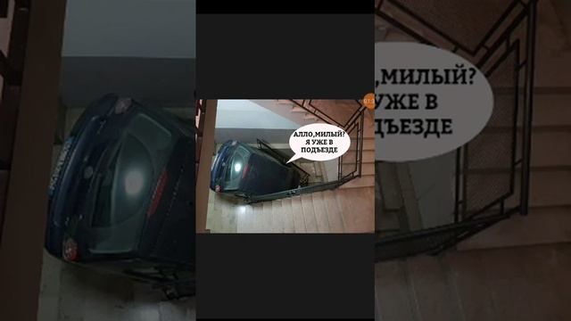 Приколы на картинках #1