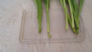 Как продлить жизнь ТЮЛЬПАНАМ? Советы по сохранению тю?