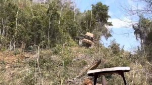 Бульдозер AD14CS расчищает участок от леса.