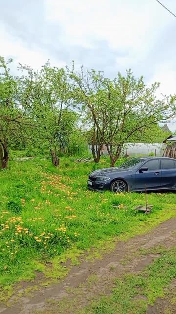 продажа участок.зеленодольский район с осиново снт берёзка смотреть онлайн