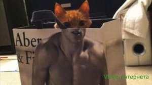 Супер подборка.Забавные Фотографии. Прикольное фото. Музыка Clarx - Zig Zag NCS Release