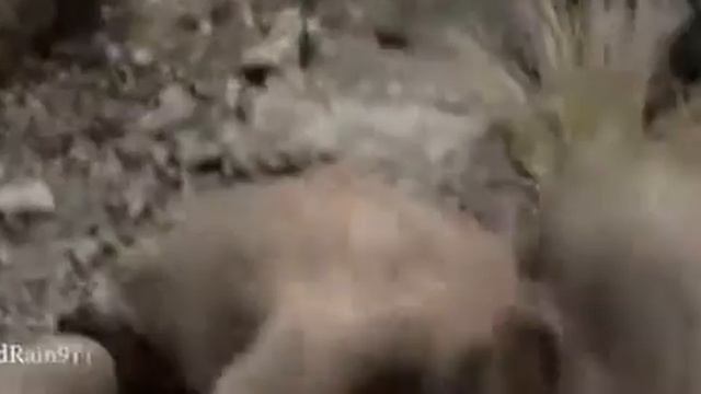 властелин колец прикол смотреть онлайн