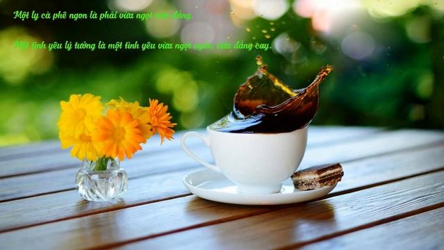 Музыкальная обложка QUEEN Cafe ─ Расслабляющая версия Jazz & Bossa Nova ─ Инструментальная музыка