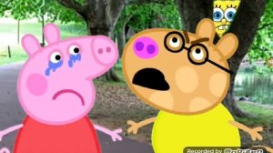 СВИНКА ПЕППА НА СВИДАНИИ С ПЕДРО!