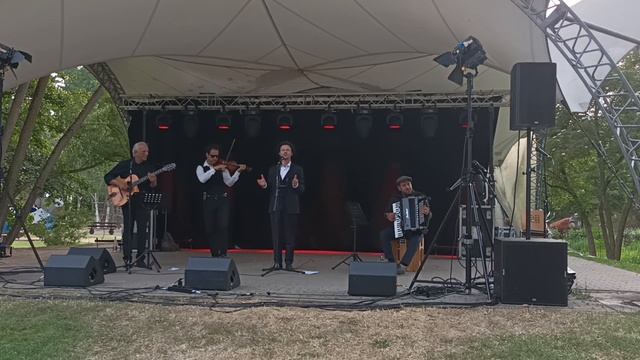 Felix Shinder live in Kaiserslautern, Limone. Феликс Шиндер, Лимончики. 17.06.2023 Кайзерслаутерн смотреть онлайн