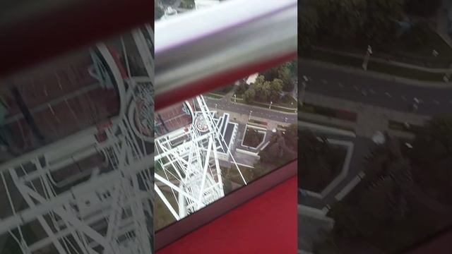 26 августа 2023 г. смотреть онлайн