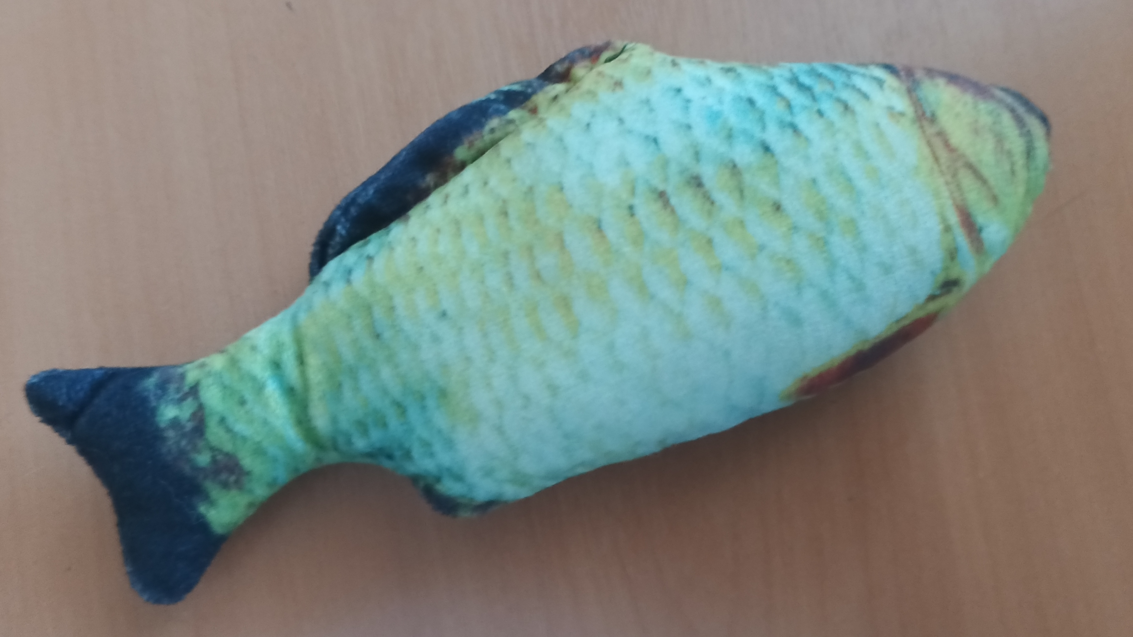 шиза у карася