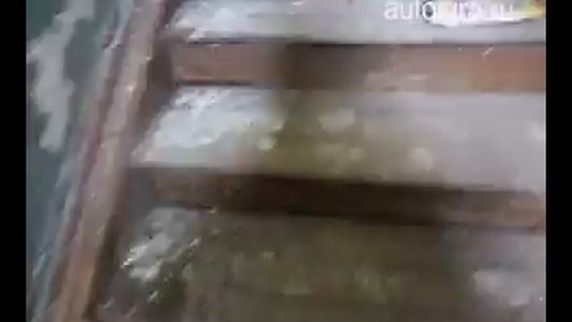 Олд скул Стая-party 