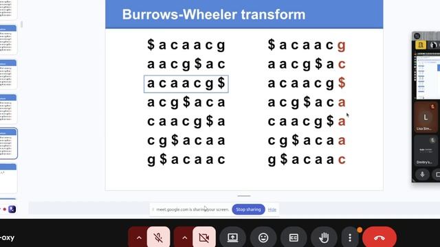 BioInf_Meleshko_BWT__Sam_files_IGV смотреть онлайн