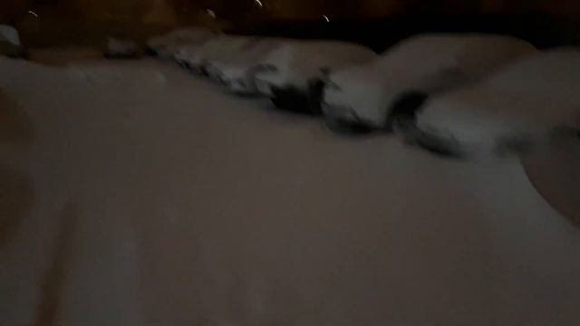 Коротко о погоде в Тобольске смотреть онлайн