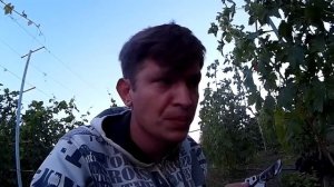 Виноград Джованни. Урожай 2016.