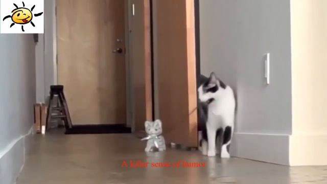 НОВЫЕ ВИДЕО ПРИКОЛЫ 2017, приколы до слез, смешные приколы, новые видео, новые приколы, лучшее виде смотреть онлайн