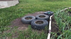 Vlog Новые шторы на кухне и у Анюты в комнате.