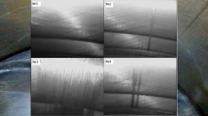 Масло CUPPER — прорыв или маркетинговый ход? Разберемся ?