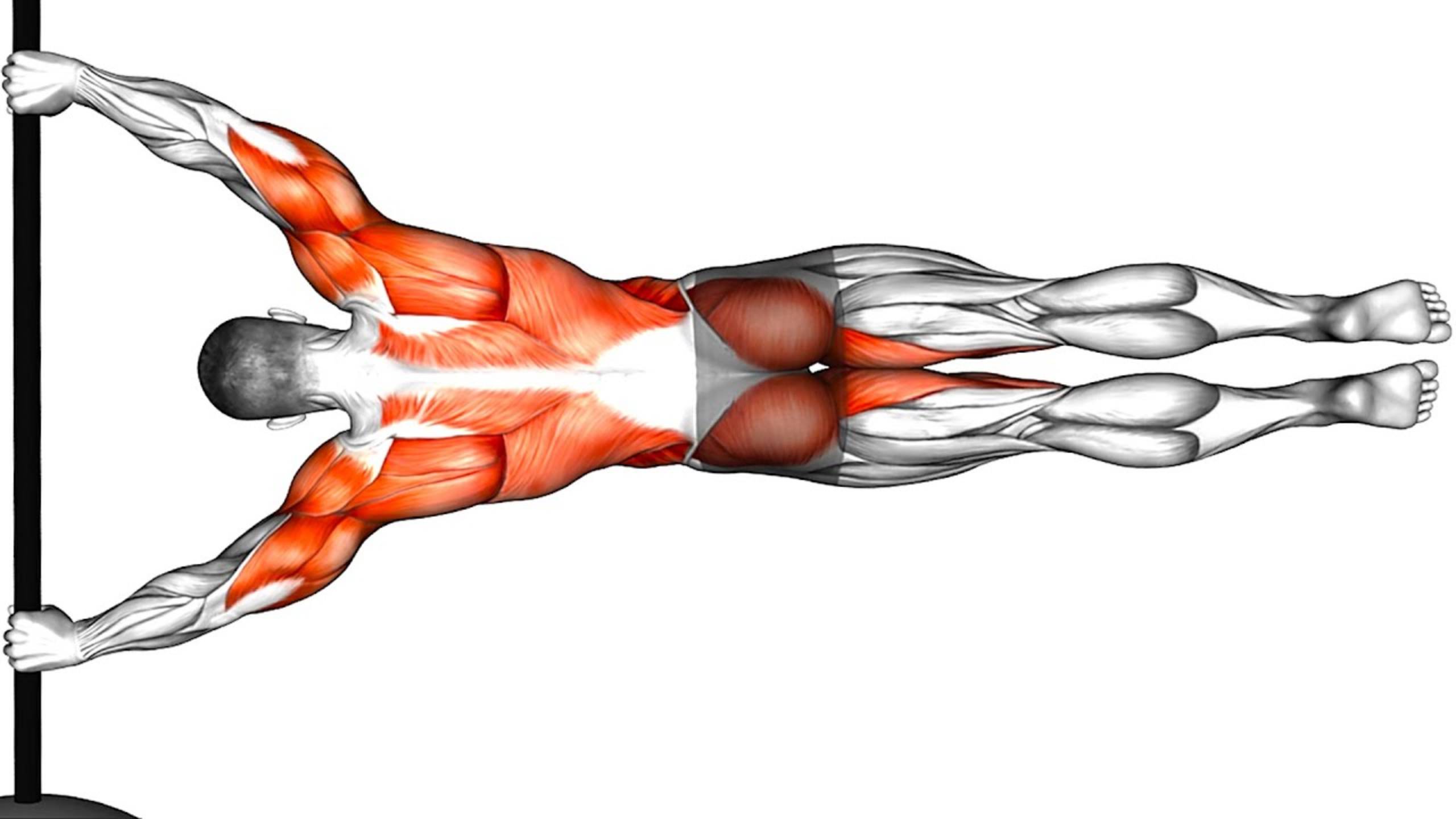 Упражнения с собственным Весом - калистеника следующего уровня смотреть онлайн