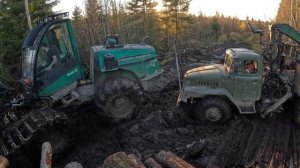 Урал Лесовоз застрял #лесозаготовка