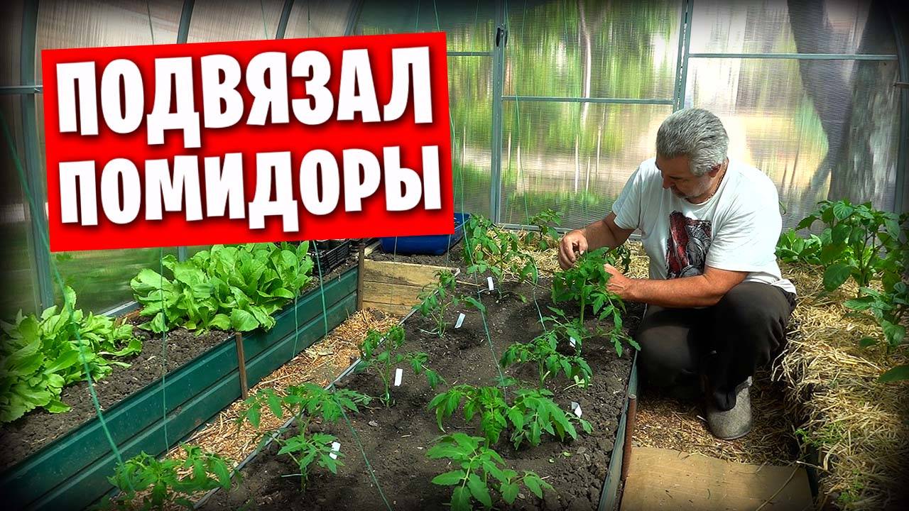 Киножурнал "Земля и глина" / Наш сад и огород в Донецке / Кошки на батуте смотреть онлайн