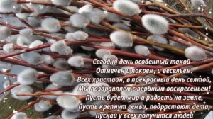 Красивые поздравления с Вербным Воскресеньем🌿🌿🌿