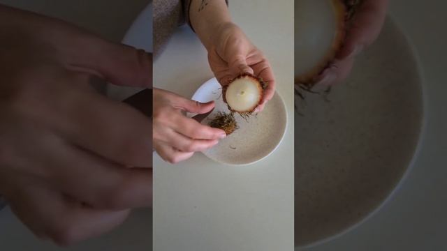 Рамбутан – экзотический фрукт, родом из Юго-Восточной