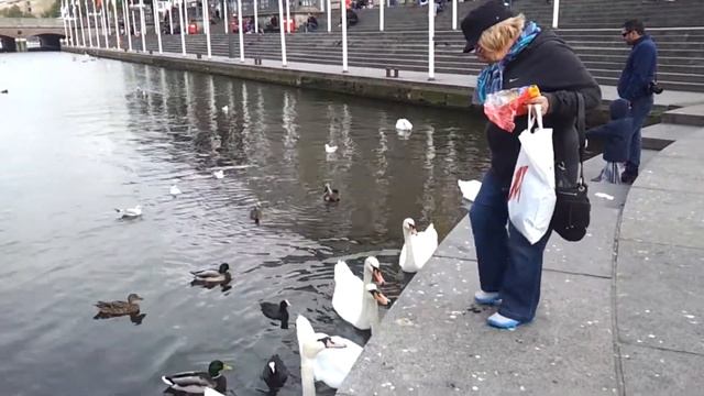 чертовски смешно!! бабушка разговаривает с утками!! смотреть онлайн