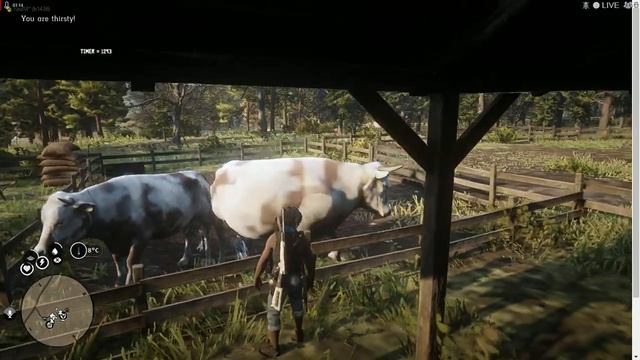 Red Dead Redemption 2 Сервер WayLand RP (Малышь Тонни фермер 2)