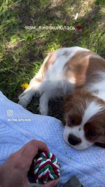 Родные и Нора смотреть онлайн