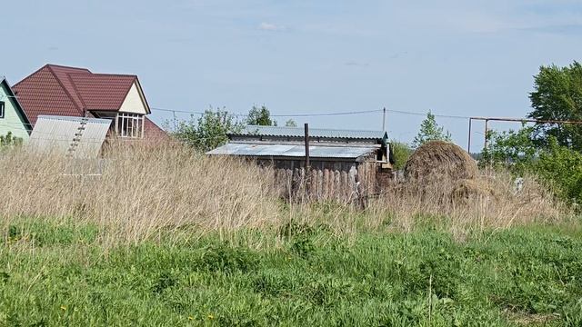 1000058766.mp4 смотреть онлайн