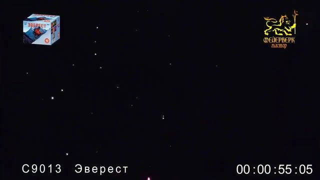 С9013 Эверест (2"х49) 1/1/1 смотреть онлайн