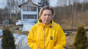 КОГДА ОТКРЫВАТЬ РОЗЫ В СРЕДНЕЙ ПОЛОСЕ РОССИИ. Создано