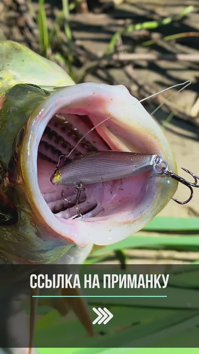 🔥 НОВЫЙ БЮДЖЕТНЫЙ УБИЙЦА ЖЕРЕХА! смотреть онлайн