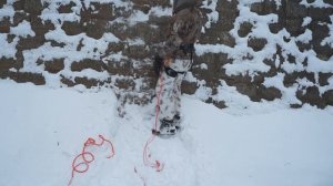 Подъем по веревке жумар + кроль