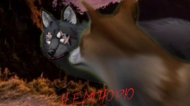 Часть на мап Шипучки