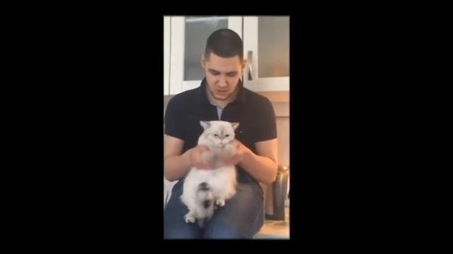 Лучшее поздравление друга С Днем Рождения! смотреть онлайн