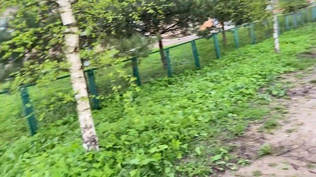 Первая гроза. Ливень. Очередная закупка продуктов на месяц смотреть онлайн