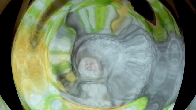 Приколы с котами: котята, кошки, коты, смешное видео и взаимка смотреть онлайн