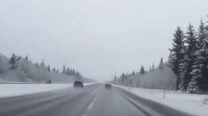 Гололед,приколы