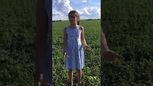 Ева Муавад, 10 лет, Ливан, басня "Стрекоза и муравей" смотреть онлайн