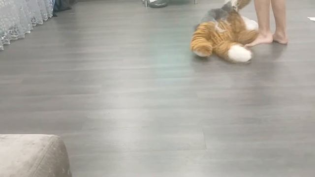 20 октября 2022 г. смотреть онлайн