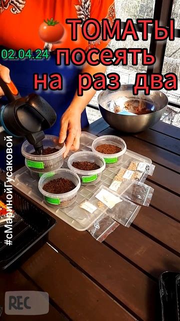 ТОМАТЫ БУКЕТНЫМ СПОСОБОМ. Сею просто и быстро | с Марин смотреть онлайн