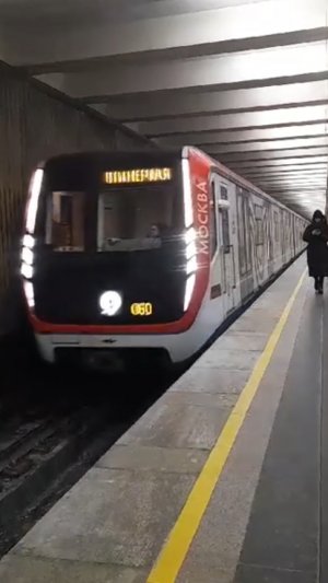 Поезд Москва 2019 прибывает на станцию Щукинская