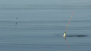 КАРАСЬ НА ХИТРУЮ СНАСТЬ. РЫБАЛКА НА ПОПЛАВОК ХЕРАБУНА