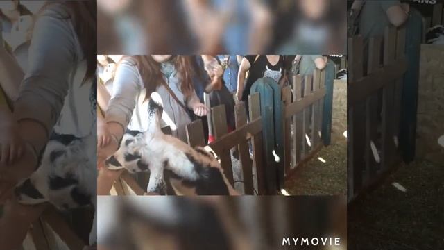 США, Аризона. Реннесанс фестиваль. смотреть онлайн