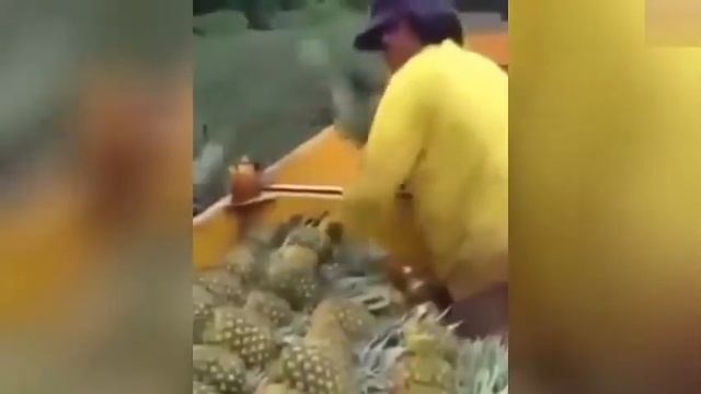 ЛУЧШИЕ УГАРНЫЕ СМЕШНЫЕ ПРИКОЛЫ 2017 BEST Jokes 2017 Funny Videos Fail #16 смотреть онлайн