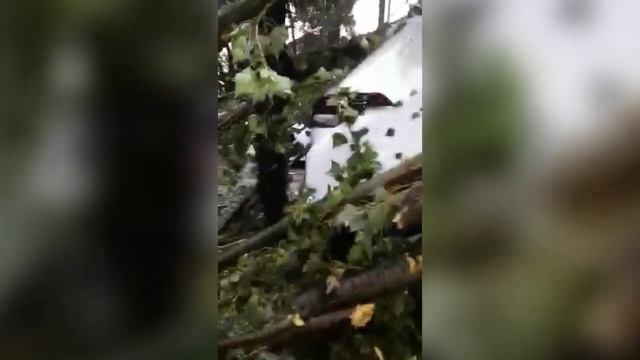 В Сочи прошли сильные ливни, вызвавшие серьёзные последствия смотреть онлайн