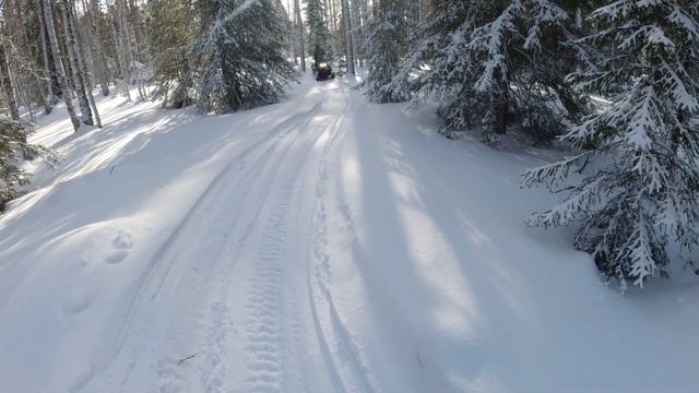 Сани волокуши из ПНД  тестируем в лесу.