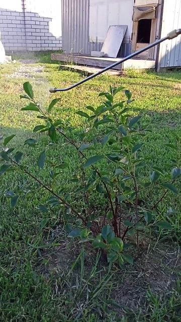 Обзор смотреть онлайн